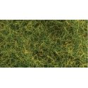 Wild Grass Pad - 11 x 5-1/2′ 27.4 x 14cm -- Moorland Green, All Scales, Heki/Mini Forest 1573
