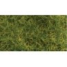 Wild Grass Pad - 11 x 5-1/2′ 27.4 x 14cm -- Moorland Green, All Scales, Heki/Mini Forest 1573