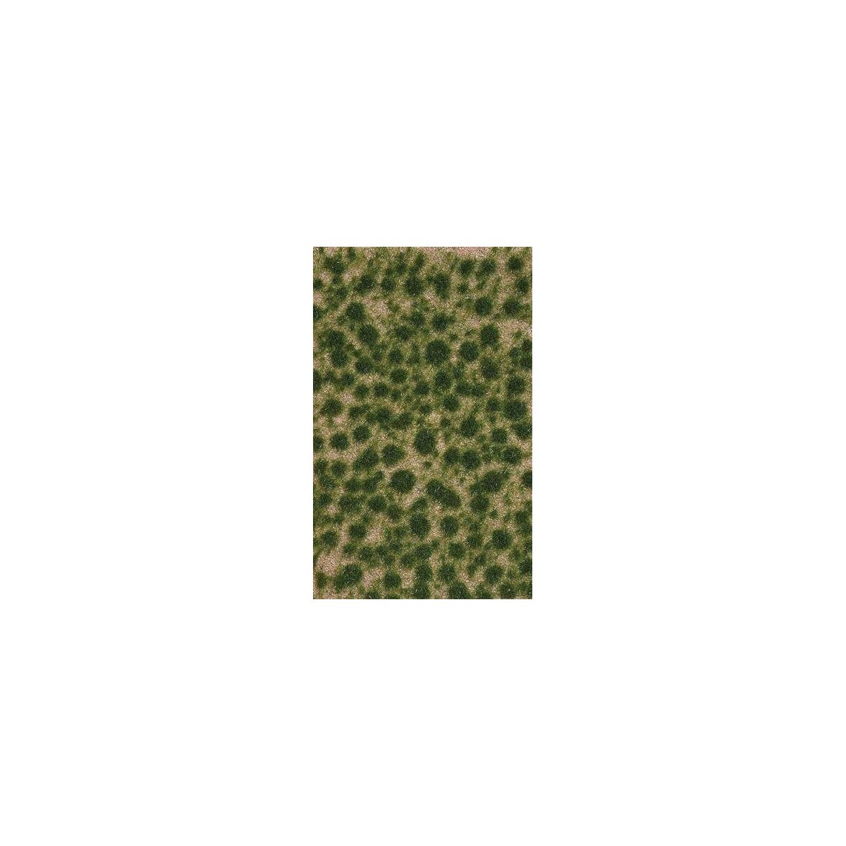 Grass Tuft Sheet -- Short Late Summer Tufts 1/16` .2cm Tall, 5-7/16 x 3-7/16` 13.8 x 8, All Scales, Busch Gmbh & Co Kg 3513
