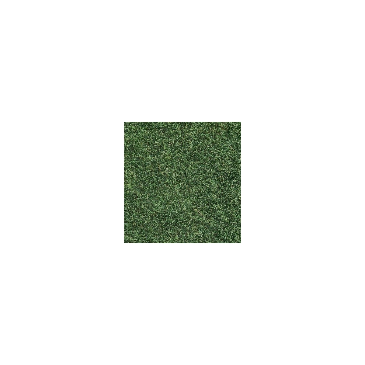 Wild Grass - 1-3/4oz 50g -- Light Green, All Scales, Noch Gmbh & Co 7102