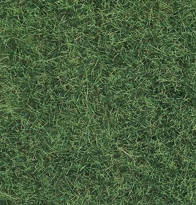 Wild Grass - 1-3/4oz 50g -- Light Green, All Scales, Noch Gmbh & Co 7102