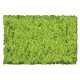 Flock & Turf - Scenic Foams & Ground Textures - Green Tones - 32 Ounces -- Light Green - C, All Scales, Scenic Express 802B