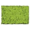 Flock & Turf - Scenic Foams & Ground Textures - Green Tones - 32 Ounces -- Light Green - C, All Scales, Scenic Express 802B