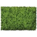 Flock & Turf - Scenic Foams & Ground Textures - Green Tones - 32 Ounces -- Spring Green - , All Scales, Scenic Express 811B