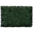 Flock & Turf - Scenic Foams & Ground Textures - Green Tones - 32 Ounces -- Forest Green - , All Scales, Scenic Express 816B
