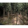 Ground Cover - 300ml Package -- Coniferous (Pine) Forest, HO, Busch Gmbh & Co Kg 7529