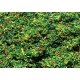 Scatter Material Ground Cover - 1oz 28.3g -- Meadow Green, All Scales, Faller Gmbh 170710
