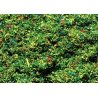 Scatter Material Ground Cover - 1oz 28.3g -- Meadow Green, All Scales, Faller Gmbh 170710