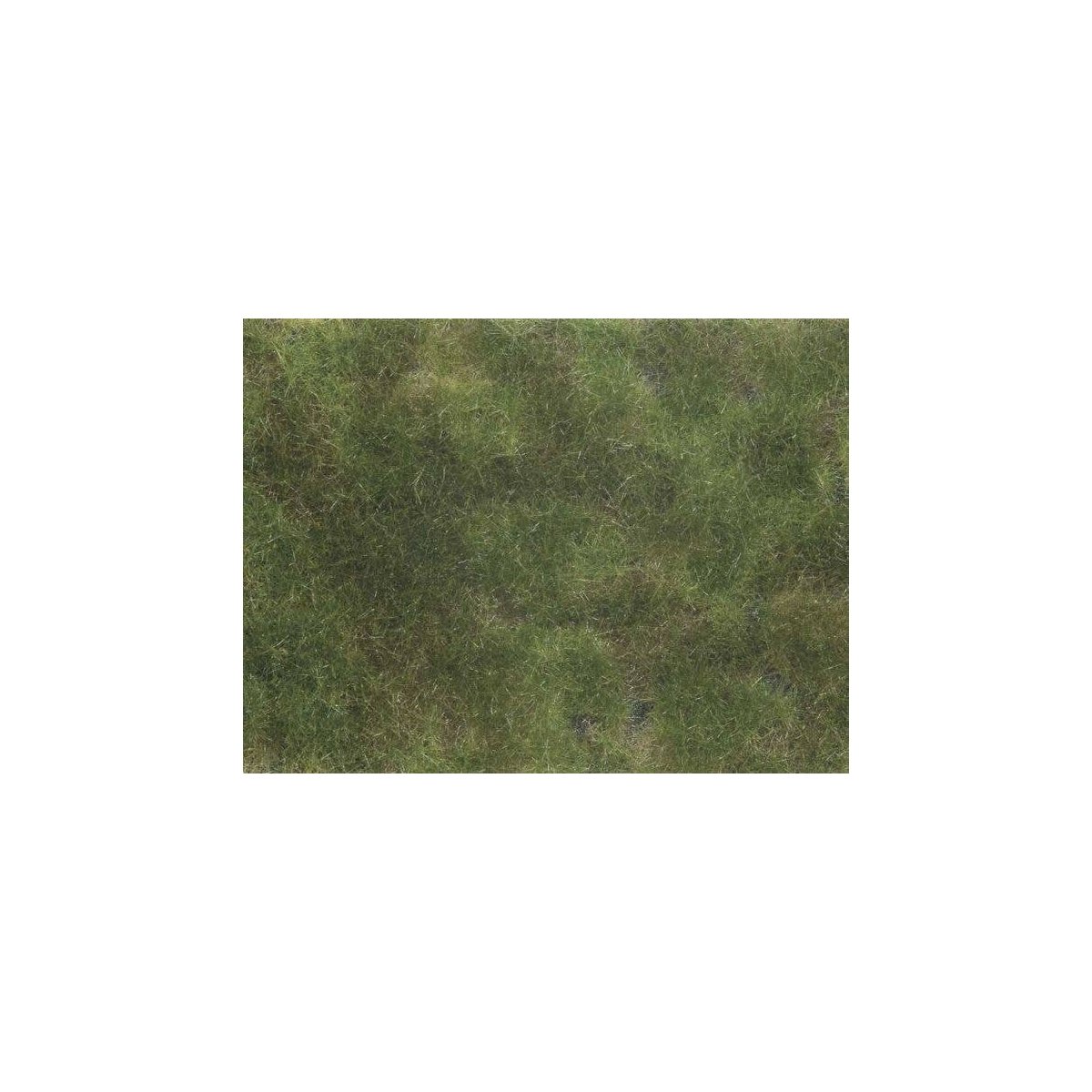 Ground Cover Foliage Pad -- Olive Green 4-3/4 x 7-1/16′ 12 x 18cm, All Scales, Noch Gmbh & Co 7251