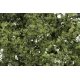 Shrubs & Saplings -- Medium Green 60 Cubic Inches, HO, Woodland Scenics 1128
