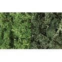 Lichen - 48oz 2.84L -- Dark Green Mix, All Scales, Woodland Scenics 168
