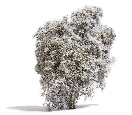 Filigree Bush -- White Blossoms 5/8′ 1.5cm Tall, All Scales, Busch Gmbh & Co Kg 3585