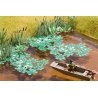 Water Lilies -- Total Area Approx. 60cm, All Scales, Noch Gmbh & Co 14114