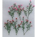Rose Bushes -- 2-1/2′ 6.4cm pkg(6), O, JTT Miniature Tree 95540