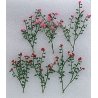 Rose Bushes -- 2-1/2′ 6.4cm pkg(6), O, JTT Miniature Tree 95540