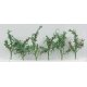 Tomato Plants - Assembled -- 1-1/2′ 3.8cm Tall pkg(12), O, JTT Miniature Tree 95526