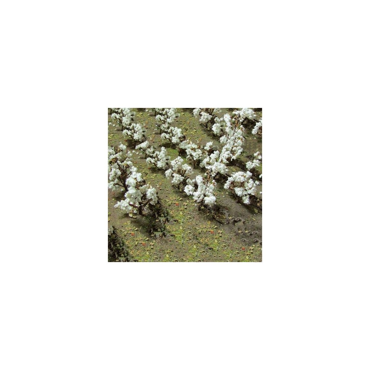 Cotton Plants -- pkg(24), O, JTT Miniature Tree 95591