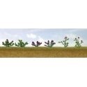 Assorted Flower Plants -- Set 1 pkg(12), HO, JTT Miniature Tree 95557