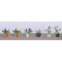 Assorted Potted Flower Plants -- Set 1 pkg(6), O, JTT Miniature Tree 95566