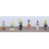 Assorted Potted Flower Plants -- Set 2 pkg(6), HO, JTT Miniature Tree 95567