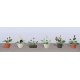 Assorted Potted Flower Plants -- Set 3 pkg(6), O, JTT Miniature Tree 95570