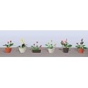 Assorted Potted Flower Plants -- Set 3 pkg(6), O, JTT Miniature Tree 95570