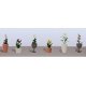 Assorted Potted Flower Plants -- Set 4 pkg(6), O, JTT Miniature Tree 95572