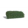 Shrub Mat - 4-3/4 x 3-1/8 x 1-3/8′ 12 x 8 x 3.5cm -- Fall, All Scales, Busch Gmbh & Co Kg 3599