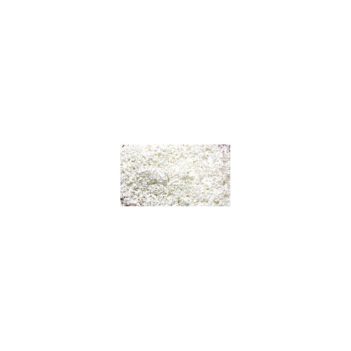 SuperLeaf Flowering Blossom 16oz Shaker -- White, All Scales, Scenic Express 6512
