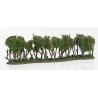 Hedge Row - Woodland Classics(TM) Ready Made Trees(TM) -- 7-3/4 x 1 to 2′ 19.6 x 2.5 to, All Scales, Woodland Scenics 3581