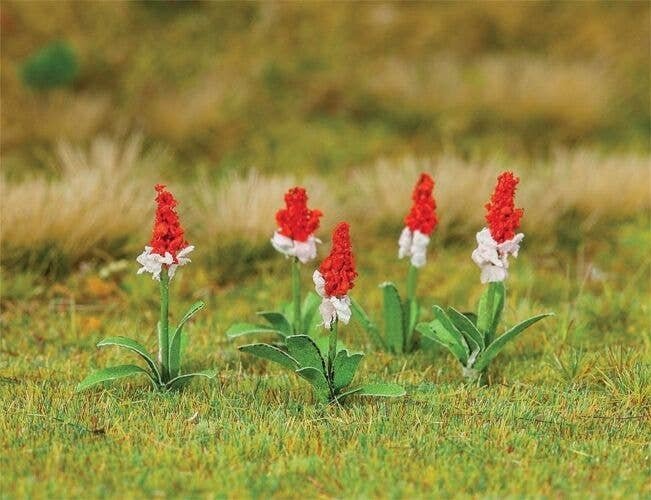 Orchid Primroses -- pkg(32), HO, Faller Gmbh 181267