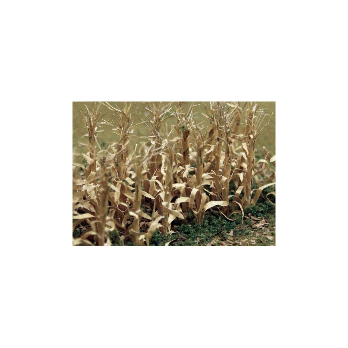 Dried Corn Stalks -- pkg(30), HO, JTT Miniature Tree 95588