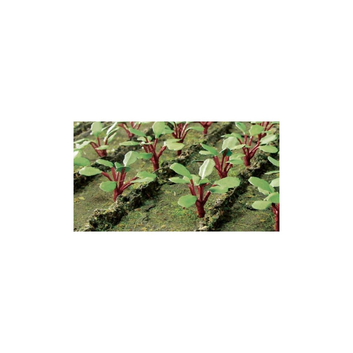 Rhubarb Plants -- pkg(28), HO, JTT Miniature Tree 95592