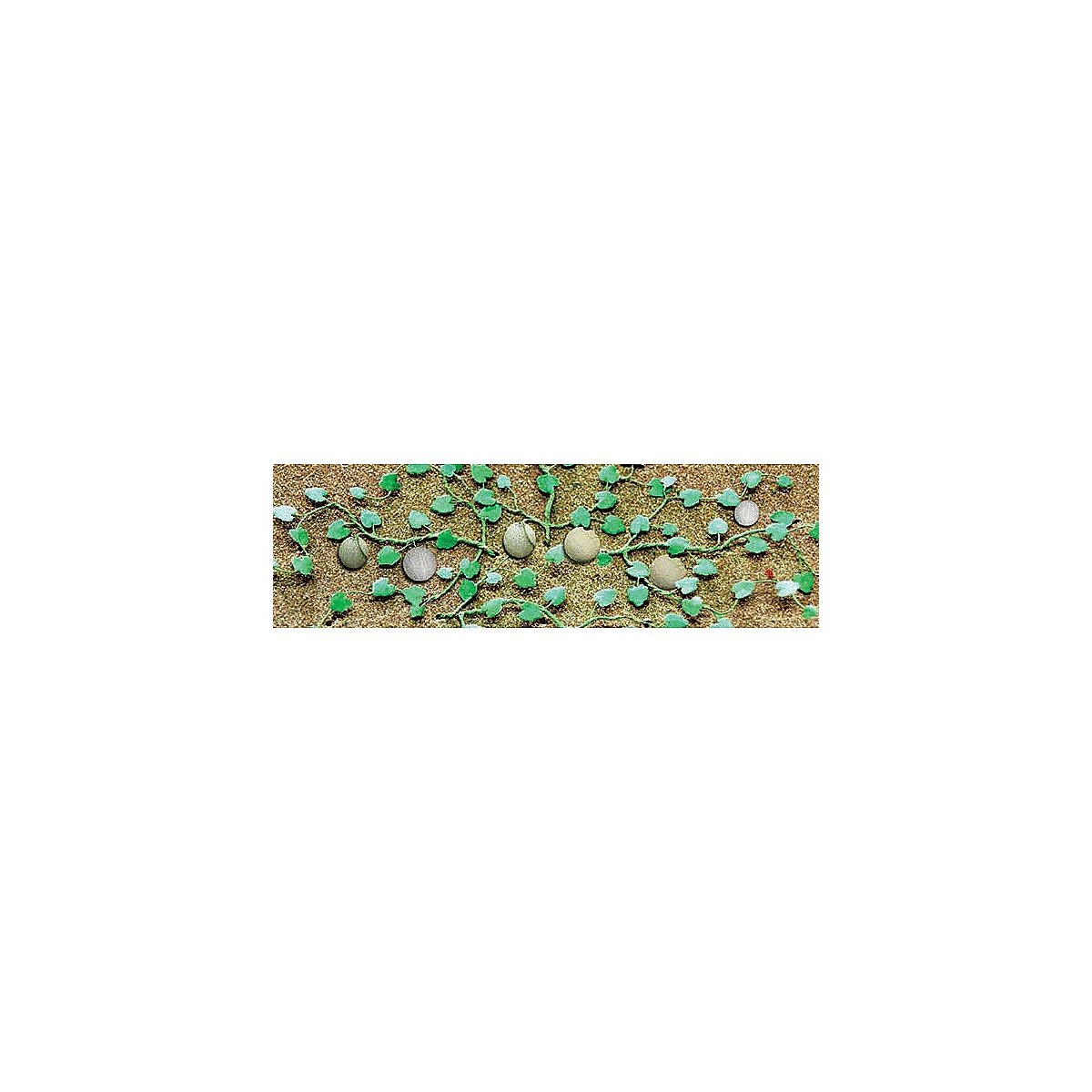 Cantaloupe Patch -- pkg(6), HO, JTT Miniature Tree 95573