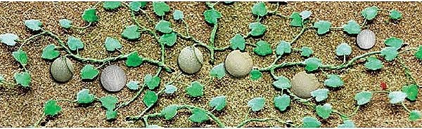Cantaloupe Patch -- pkg(6), HO, JTT Miniature Tree 95573