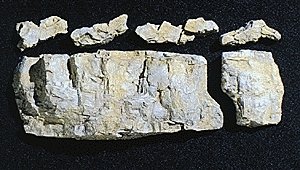 Rock Molds -- Base Rock, All Scales, Woodland Scenics 1243