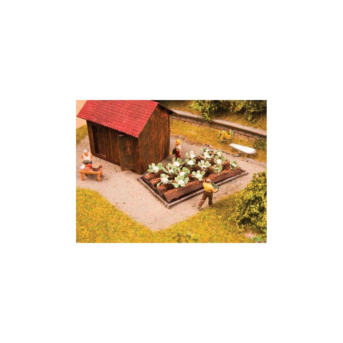 Garden Plot - Assembled - Deco Minis -- 16 Cauliflower Plants, HO, Noch Gmbh & Co 13216