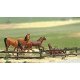 Fences -- Farm Field Set - 52′ 132cm (brown), HO, Busch Gmbh & Co Kg 6008
