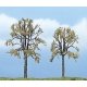 Ready Made Premium Trees(TM) - Deciduous -- Dead Elm - 1 Each: 3-1/8 & 2-1/2′ 7.9 & 6.4, All Scales, Woodland Scenics 1602