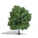 Chestnut Tree -- 8-11/16′ 22cm Tall, HO, Busch Gmbh & Co Kg 3763