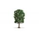 Chestnut Tree - Master -- 7-1/2′ 19cm Tall, All Scales, Noch Gmbh & Co 20105