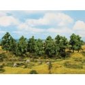 Deciduous Trees -- 3-15/16 to 5-1/2′ 10 to 14cm Tall pkg(8), All Scales, Noch Gmbh & Co 24600