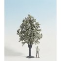 Fruit Trees -- White Flowering 30cm, G, Noch Gmbh & Co 68022