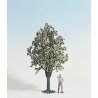 Fruit Trees -- White Flowering 30cm, G, Noch Gmbh & Co 68022