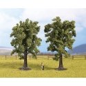Multi-Tree Packs -- Beech 5-1/8′ 13cm pkg(2), HO, Noch Gmbh & Co 25170