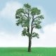 Maple Trees - Pro Elite -- 8′ 20.3cm, O, JTT Miniature Tree 92414