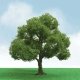 Elder Trees - Pro Elite -- 1-3/4 - 2′ 1.5 - 5.1cm pkg(3), N, JTT Miniature Tree 92204