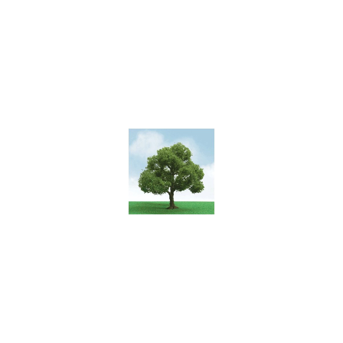 Elder Trees - Pro Elite -- 1-3/4 - 2′ 1.5 - 5.1cm pkg(3), N, JTT Miniature Tree 92204