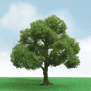 Elder Trees - Pro Elite -- 1-3/4 - 2′ 1.5 - 5.1cm pkg(3), N, JTT Miniature Tree 92204