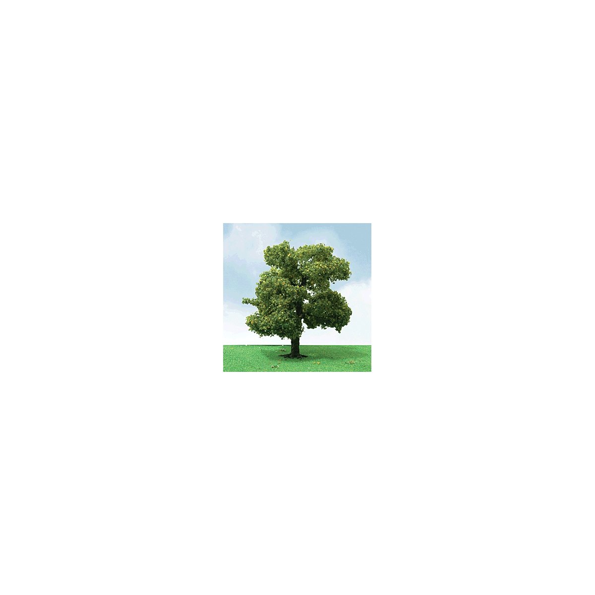 Sycamore Trees - Pro Elite -- 2 - 2-1/4′ 5.1 - 5.7cm pkg(3), N, JTT Miniature Tree 92210